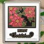 Preview: Creative Expressions - Stanzschablone "Festive Collection Poinsettia Cover Plate" Craft Dies Design by Sue Wilson