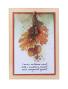 Preview: Studio Light - Designpapier "Autumn Oranges" Paper Pad A5 - 36 Bogen