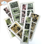 Preview: Elizabeth Craft Designs - Stanzschalone "Postage Stamp Strips" Dies