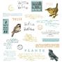 Preview: Sizzix - Stanzschablone & Stempelset "Bird Song" Framelits Craft Dies & Clear Stamps by 49 and Market