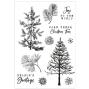 Preview: Sizzix - Stanzschablone & Stempelset "Pine Holidays" Framelits Craft Dies & Clear Stamps by 49 and Market