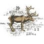 Preview: Sizzix - Stanzschablone & Stempelset "Reindeer Mix Cluster" Framelits Craft Dies & Clear Stamps by 49 and Market