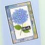 Preview: Crafters Companion - Stanzschablone "Blooming Hydrangea" Dies