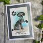 Preview: Creative Expressions - Stanzschablone "Pet Pals Bailey" Craft Dies Design by Sue Wilson