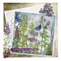 Preview: Studio Light - Stanzteile "Nature's Dream 2" Die Cut Block - 20 Bogen