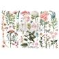 Preview: Re-Design with Prima - Transfer Aufkleber 6x12 Inch "Botanical Paradise" Decor Transfer 3 Bogen 