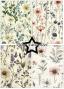 Preview: Paper Favourites - Designpapier "Wild Flower" Paper Pack A5 - 24 Bogen