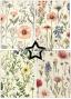 Preview: Paper Favourites - Designpapier "Wild Flower" Paper Pack A5 - 24 Bogen