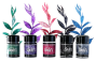 Preview: Lindys Stamp Gang - Pigmentpulver "Monet All Day" Flat Magical Shaker Set - 5x10g