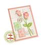 Preview: Leane Creatief - Prägefolder "Family Occasions" 3D Embossing Folder