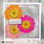 Preview: Visible Image - Stempelset A6 "Create Happiness" Clear Stamps