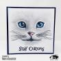 Preview: Visible Image - Stempelset A6 "Curious Cats" Clear Stamps