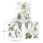 Preview: Re-Design with Prima - Transfer Aufkleber 8,5x11 Inch "Greenery Grace" Decor Transfer 3 Bogen 