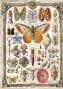 Preview: Ciao Bella - Decopatch Papier "Cabinet of Curiosities" Rice Paper A5 - 8 Bogen