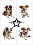 Preview: Paper Favourites - Designpapier "Farmdogs" Paper Pack A6 - 24 Bogen