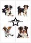 Preview: Paper Favourites - Designpapier "Farmdogs" Paper Pack A6 - 24 Bogen