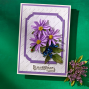 Preview: Spellbinders - Stanzschablone "Through the Meadow Bundle" Dies