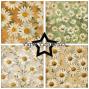 Preview: Paper Favourites - Designpapier "Vintage Daisies" Paper Pack 12x12 Inch 8 Bogen