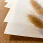 Preview: Scrapbooking-/ Bastelpapier 230g/m² DIN A3 in pergament ice (Vellum)