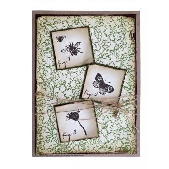 Creative Expressions - Clear stamp set Schmetterling Spaziergang