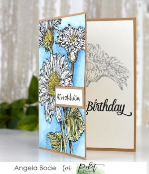 Picket Fence Studios Wild Daisies Clear Stamps 