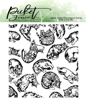 Picket Fence Studios This Cat is for You Clear Stamps 