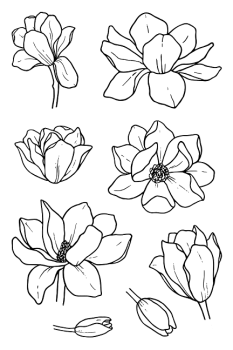 Janes Doodles " Magnolia" Clear Stamp - Stempelset