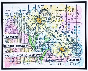 IndigoBlu "Camomile" A5 Rubber Stamp