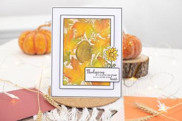 Crafters Companion - Autumn Blessings Collection  - Clear Stamps