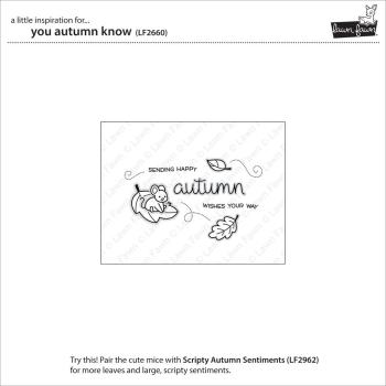 Lawn Fawn Stempelset "You Autumn Know" Clear Stamp