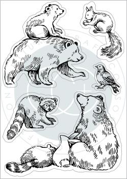 Craft Consortium In The Forest Clear Stamps Bear 