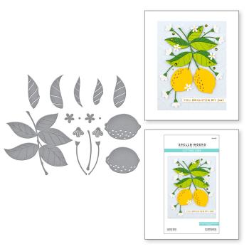 Spellbinders Die "Lemon Zest Etched" Stanzschablone