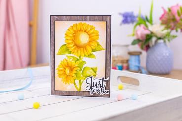 Gemini Sunflowers 3D Embossing Folder - Prägeschablone 3D - 