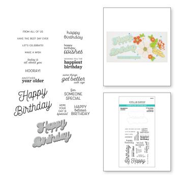 Spellbinders Stempel & Stanzset "Many Birthdays Clear Stamp & Die Set"