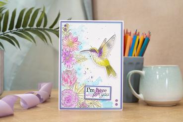 Crafters Companion -Hummingbird - Stanze & Stempel