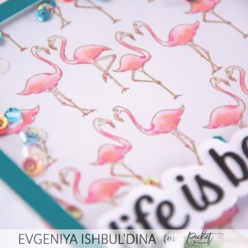 Picket Fence Studios "Flamingo Boogie" Clear Stamps 