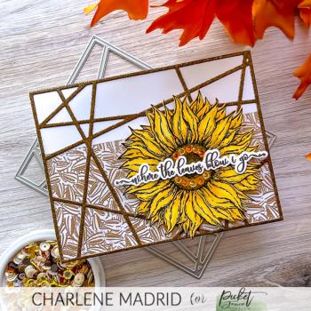 Picket Fence Studios - Clear Stamp - "Forever Sunflower Seeds " Stempel 