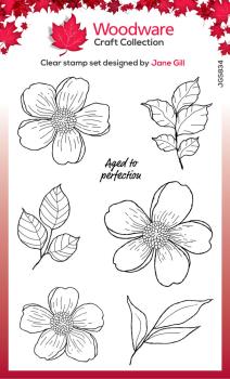 Woodware - Clear Stamps - Summer Picks  - Stempel 