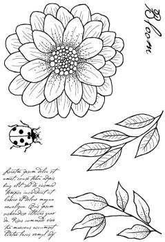 Woodware - Clear Stamps - Ditsy Daisy  - Stempel 