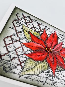 IndigoBlu "Poinsettia Collage" A6 Rubber Stamp