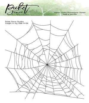 Picket Fence Studios - Clear Stamp - "Caught in my Web" Stempel 