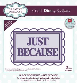 Creative Expressions - Craft Dies -  Block Sentiments Just Because - Stanze