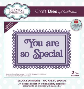 Creative Expressions - Craft Dies -  Block Sentiments You Are So Special  - Stanze
