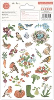 Craft Consortium Rub-Ons Sticker " Little Robin Redbreast " Transfer Sticker 