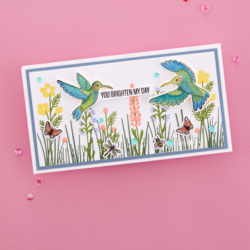 Spellbinders - Stempelset & Stanzschablone "Hummingbird Build a Scene" Clear Stamps & Dies