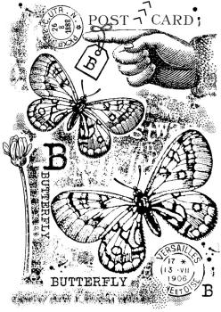 Woodware - Stempel "B is For Butterfly " Clear Stamps