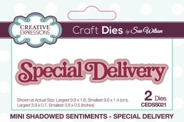 Creative Expressions - Stanzschablone "Mini Shadowed Sentiments Special Delivery" Craft Dies Mini Design by Sue Wilson