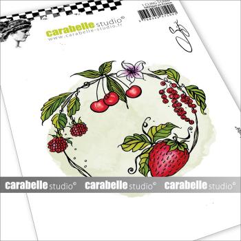 Carabelle Studio - Gummistempel "Cercle Fruité" Cling Stamp