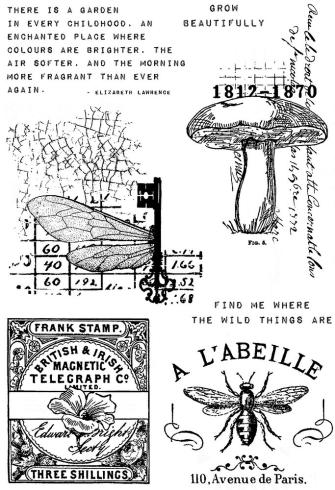 Creative Expressions - Stempelset A6 "Snippets of Nature" Clear Stamps