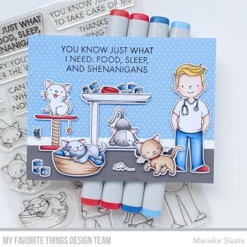 My Favorite Things - Stempel "Feline Fun" Clear Stamps